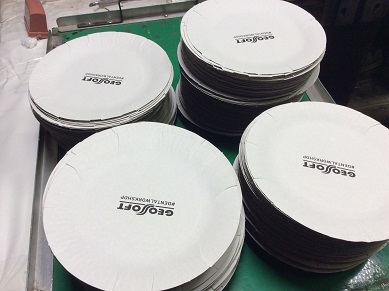 Одноразовые тарелки с логотипом компании