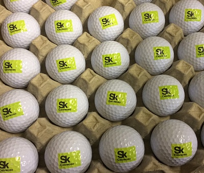 Мячи для гольфа с логотипом. Тампопечать.