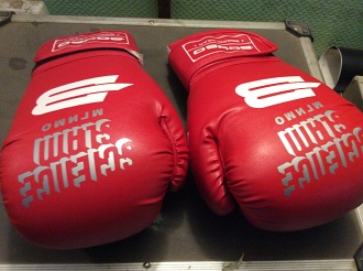 Нанесение логотипа на боксерские перчатки под заказ